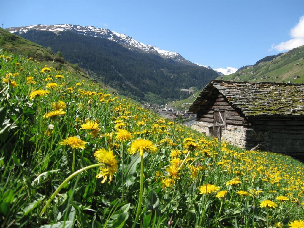 Ferienwohnung Mura Vals Εξωτερικό φωτογραφία