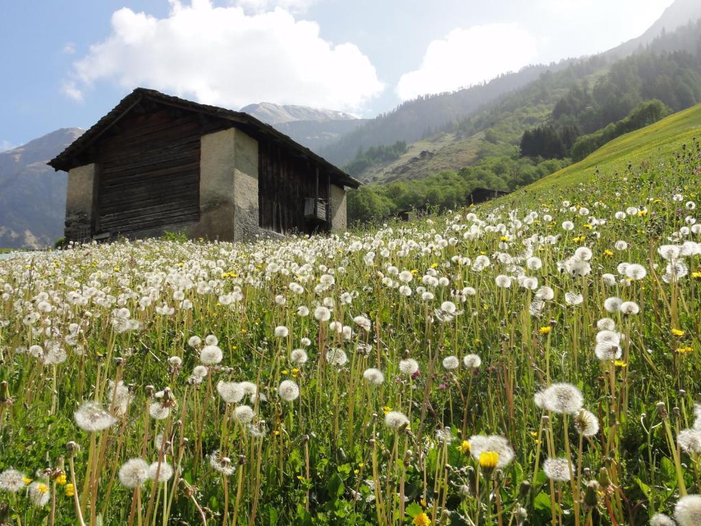 Ferienwohnung Mura Vals Εξωτερικό φωτογραφία